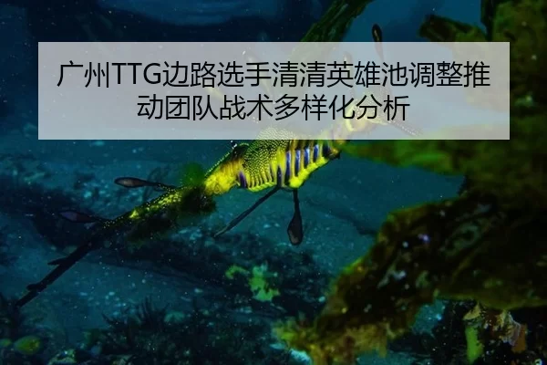 广州TTG边路选手清清英雄池调整推动团队战术多样化分析